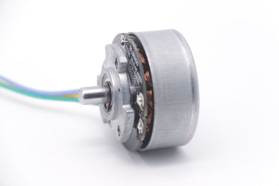 DBL3825 12V 24V BLDC Motor de alto par Fascial Gun Mini DC Motor sin escobillas