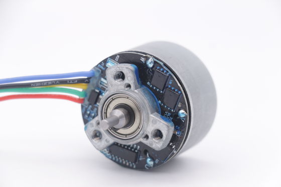 DBL3830O Motor 12v 3500rpm 38mm Outrunner Motor sin escobillas para pistola de masaje mini