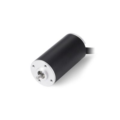 Motor de corriente continua sin cepillo de 28 mm 24V 30V 36V 18000 RPM Torque alto para automóviles eléctricos