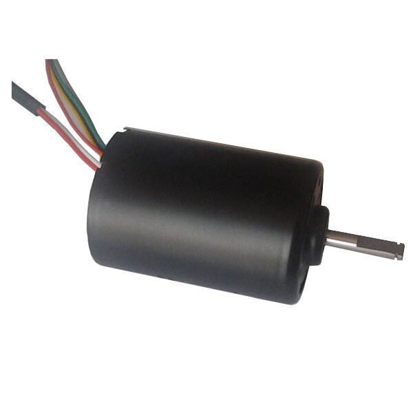 DBL4260 30W motor sin escobillas de alta torsión de corriente continua bomba de agua de 24 voltios motor BLDC