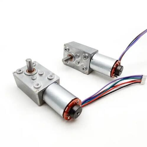 Motor de engranaje de gusano de alta torsión DC de baja velocidad Motor de autobloqueo con codificador